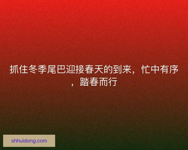 抓住冬季尾巴迎接春天的到来，忙中有序，踏春而行