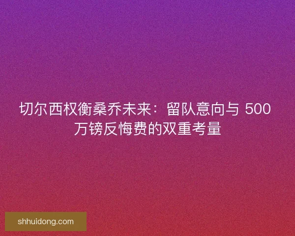 切尔西权衡桑乔未来：留队意向与 500 万镑反悔费的双重考量